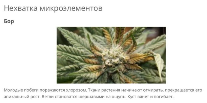 (В)