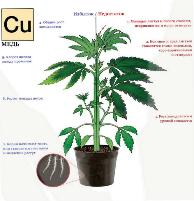 Медь