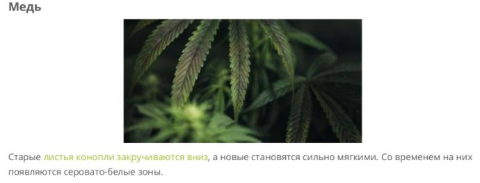 медяхя