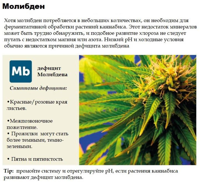 Молибден
