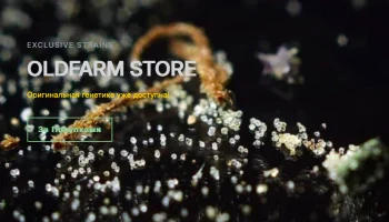 В минувшие выходные открылся эко-проект &laquo;OLDFARM store&raquo;