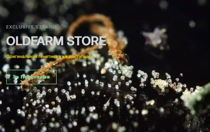 В минувшие выходные открылся эко-проект &laquo;OLDFARM store&raquo;