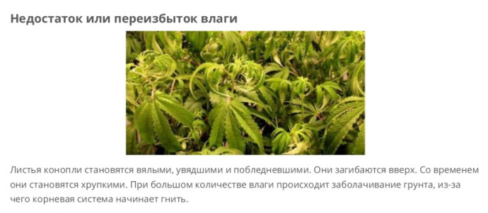 Влага
