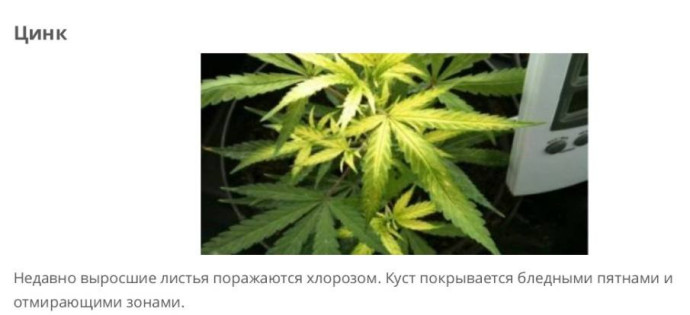 (Zn) цинк