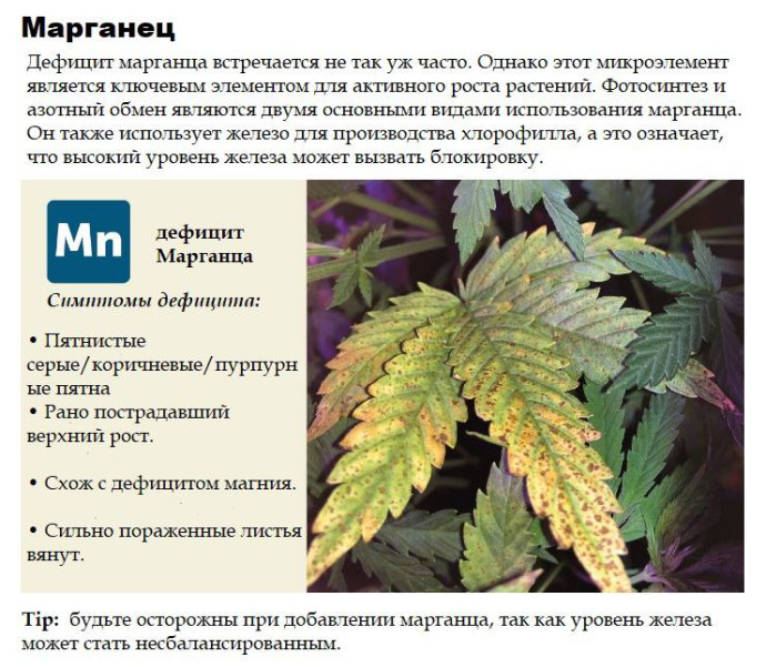 Марганец