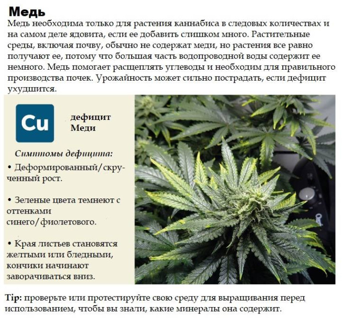 медь (сu)