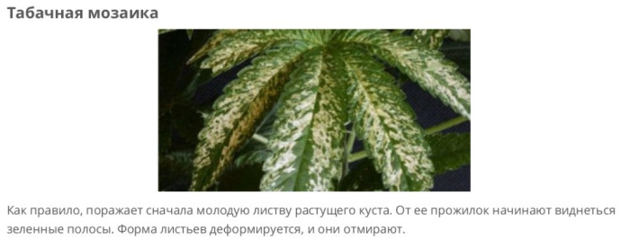 Мозайка