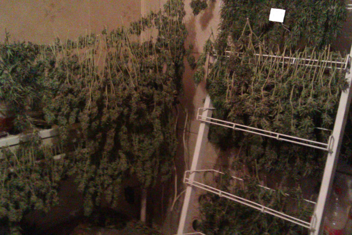 52f2da3b