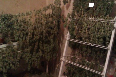 52f2da3b